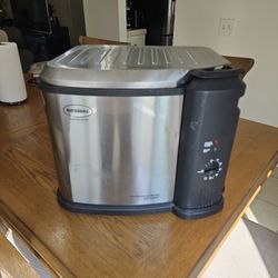 Electric Fryer 