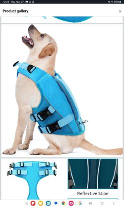 XXL Blue Dog Life Jacket (43)