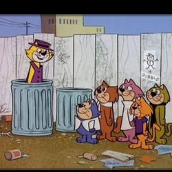Se Regalan Gatos En Escondido Ca Pequeños 