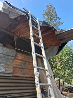 Folding ladder