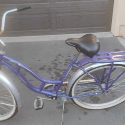 Girls Schwinn Bicycle