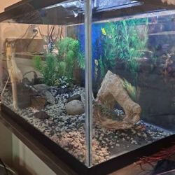 10 Gallon Fish Tank 