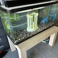 55 Gal Aquarium And Stand 