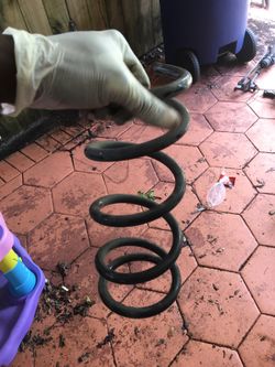 Infiniti g35 parts