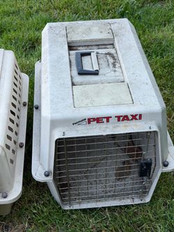 PET carrier 24x15x12