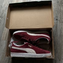 Puma suedes