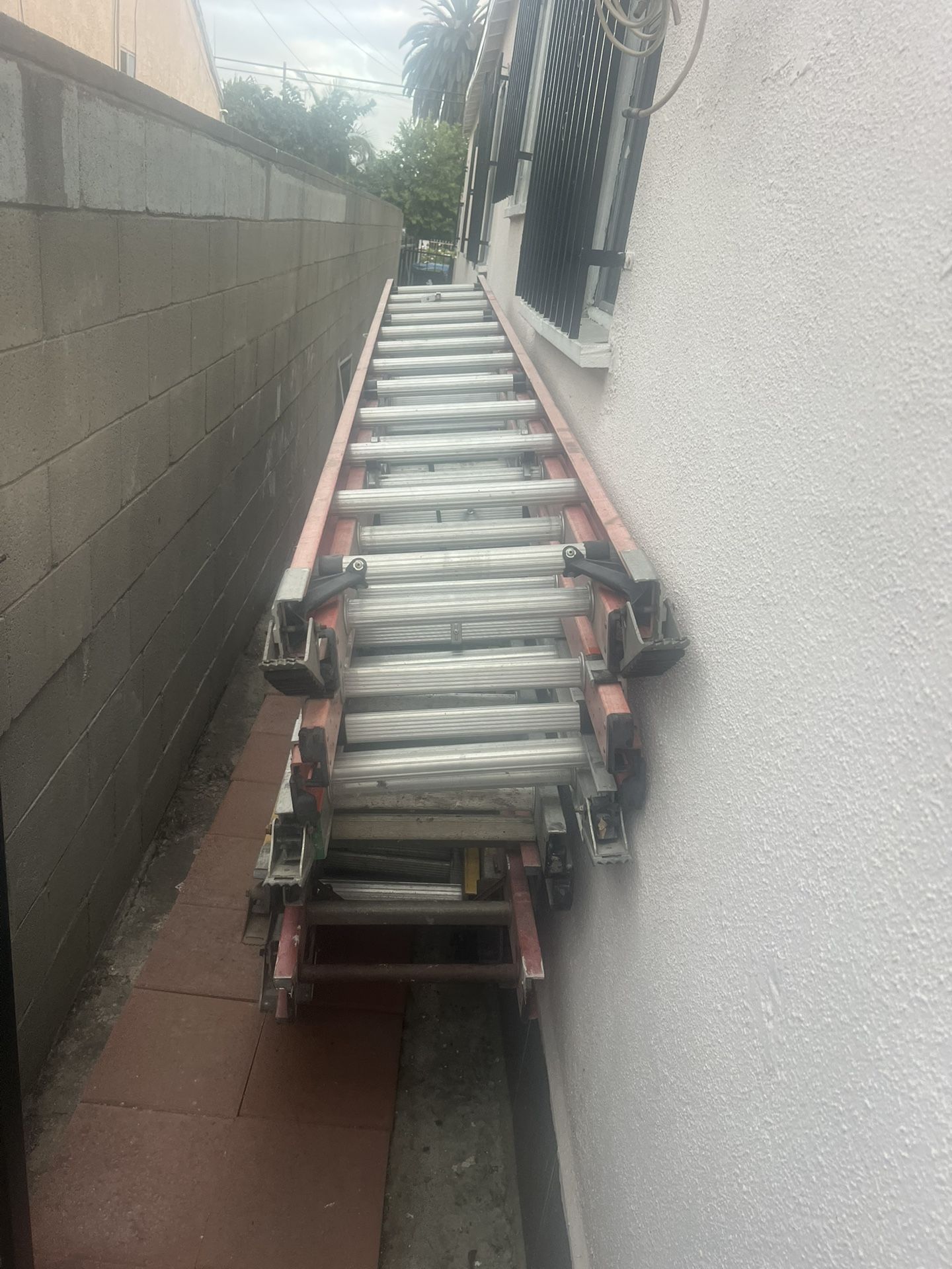 Escalera de 24 pies casi nueva muy barata $230 cada una tengo muchas