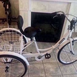 Adult Tricycle