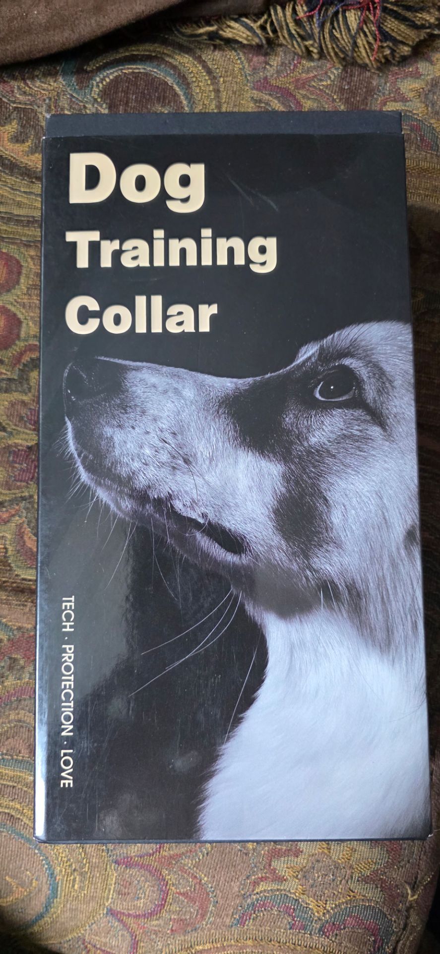 Dog Training Collar
