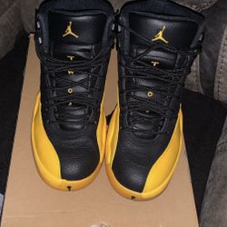 Jordan 12 / Blk University Gold 