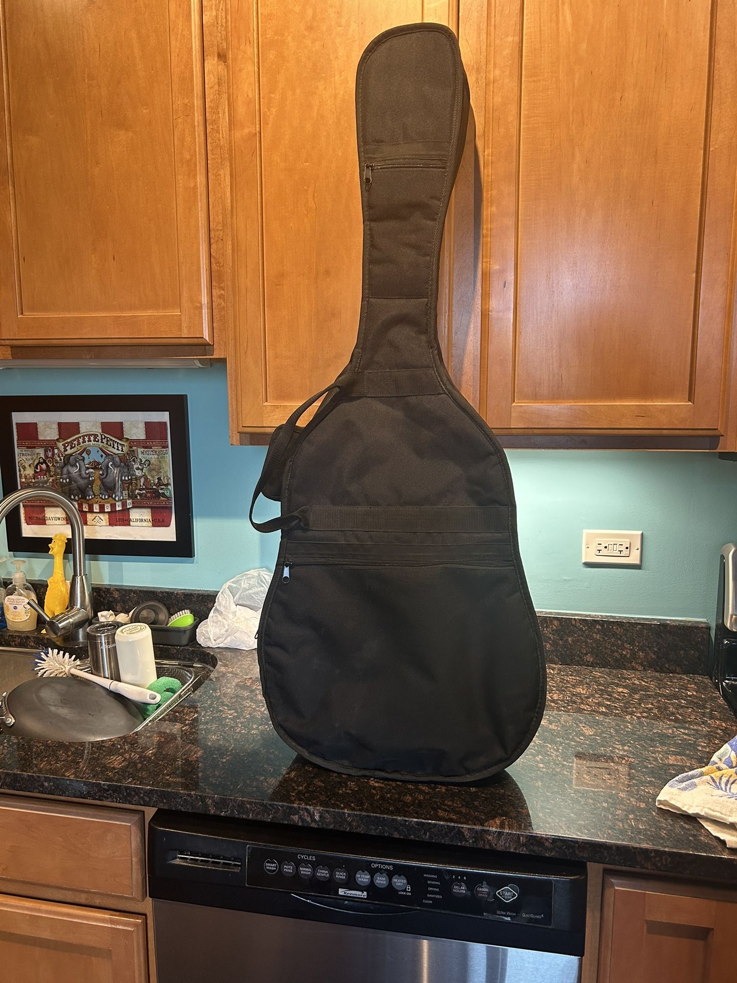 Acoustic Guitar padded Gig Bag $10 Cash