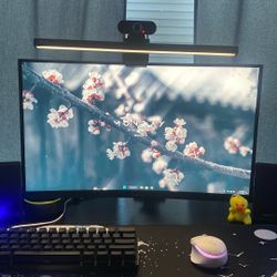 Gaming Monitor