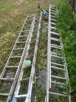 3 ladders