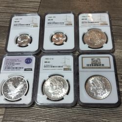 Graded Morgan's/Raw Buffalos/Steelies