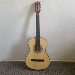 Guitar With Carrying Case