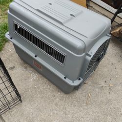 Any Animal Dog Or Cat