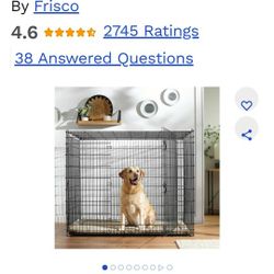 Dog Cage