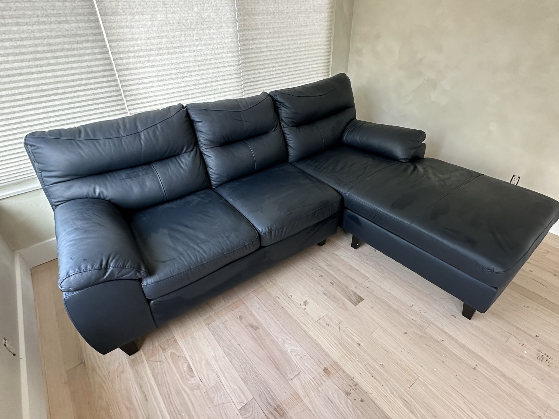 Couch and Chaise Lounge 