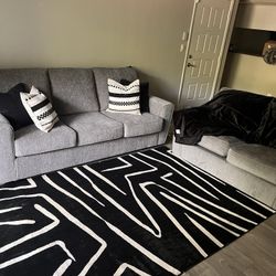 Two Gray Couches