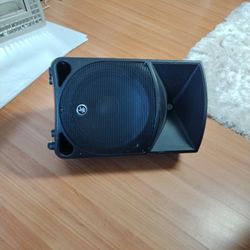 Loudspeaker Thump 12