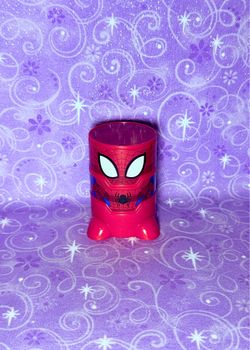 Spider Man Chubu