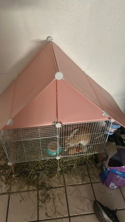 Bunny cage