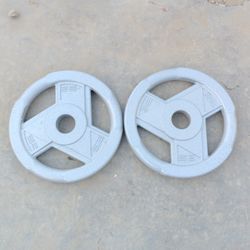 Olympic Weights 2x25lbs 