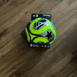 New Soccer Ball ( World Cup Edition Adidas)