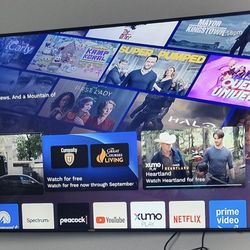 65" Vizio Smart Tv