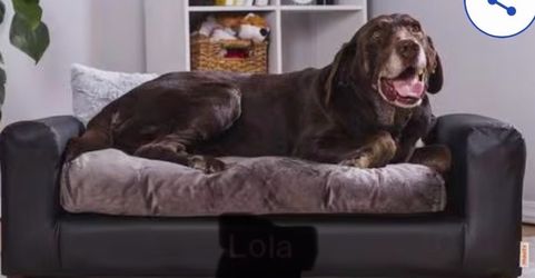 Moots Dog Personalize Sofa Cat & Dog Bed, Charcoal, Xtra-Large