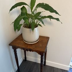 Plant & Stand