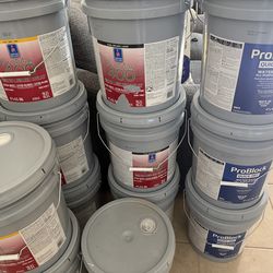 Sherwin Williams Flat paint extra white and primer