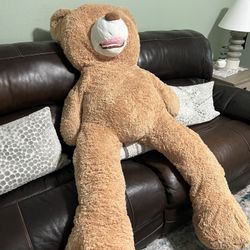 Teddy Bear 5. 1 P