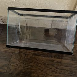 Ten gallon Tank