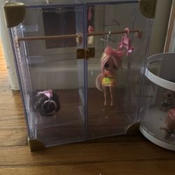 Comes with a dollhouse