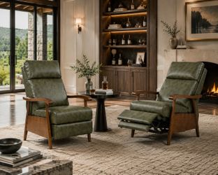 Genuine Leather Adjustable Push Back Recliner, Fern Green (Set of 2)