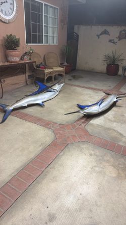 Marlin Fish