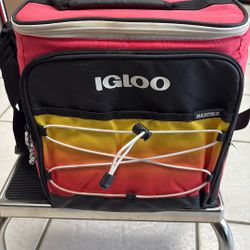 On Sale! Igloo Ringleader HLC Bungee Cooler