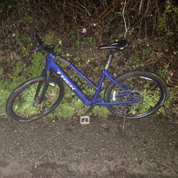 Trek Dual Sport+ 2 Stagger electric hybrid bike.  