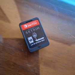 Nintendo Switch Skyrim
