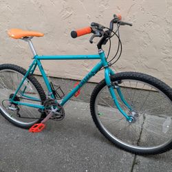 Vintage Univega Alpina Uno 