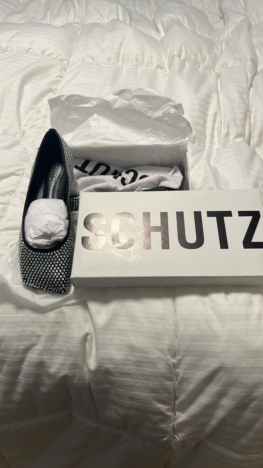 Schutz Ballet Flats