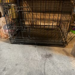 Dog 🐶 Cage