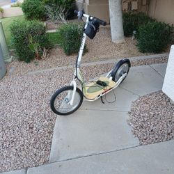 48v Razor Eco Smart Scooter (Wont Run For More Than 10 Seconds)