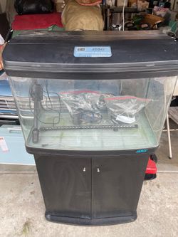 Fish Tank