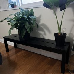  low black shelf bench