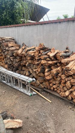 Firewood Oak Tree