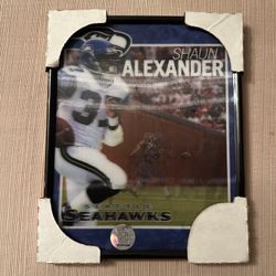 Seahawks Shaun Alexander 3d Moving Poster 