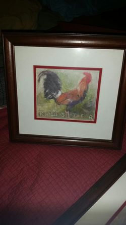 Rooster pic