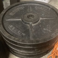 45 lb weight plates